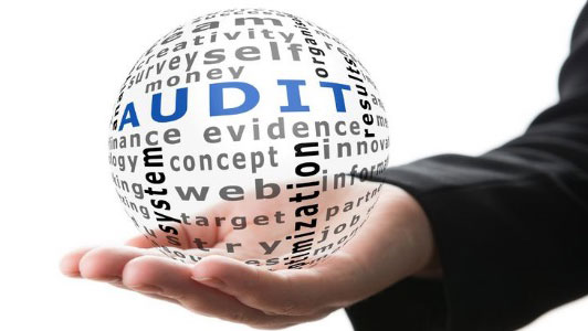Audit Assurance Services